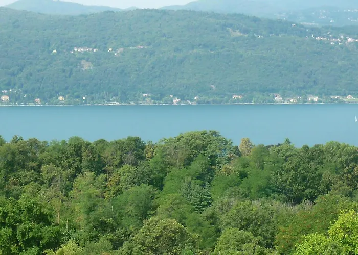 In Cima Al Bosco *
