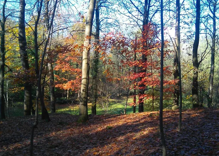 In Cima Al Bosco